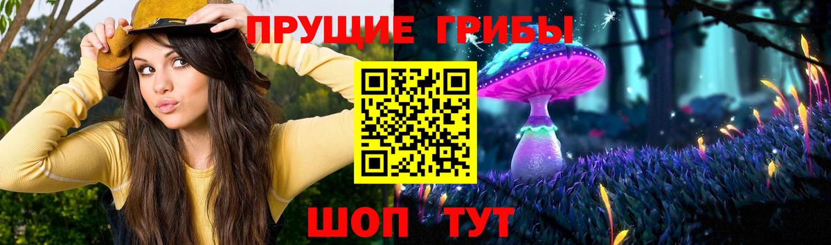 Псилоцибиновые грибы Cubensis  Вход с VPN  Заводоуковск  Псилоцибиновые грибы ЛСД 